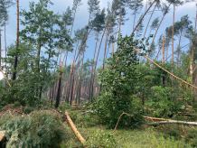 Zerwany dach, połamany maszt, powalone drzewa, zalane ulice. Potężna burza przeszła nad powiatem tucholskim (FOTO)