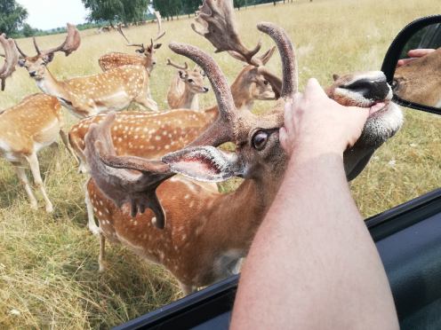 Lato z Weekend FM w gminie Człuch&oacute;w. "Przepiękne lasy, jeziora i ścieżki rowerowe" (FOTO, WIDEO)