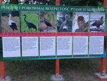 Charzykowy "Ptasim rajem". Powstał tu zakątek dedykowany ptakom
