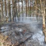 Pożar lasu przy ul. Łukowskiej w Czersku fot. KP PSP w Chojnicach