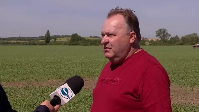 Przy braku wody nic nie pomoże. Susza w Polsce doprowadzi do wzrostu cen żywności