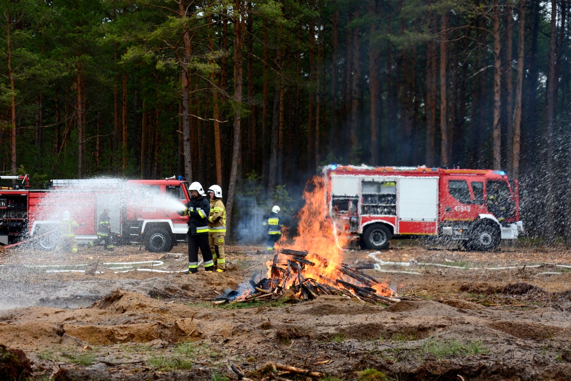 OSP i Państwowa Straż Pożarna z powiatu chojnickiego ćwiczyły opanowanie pożaru w lesie FOTO, ROZMOWA