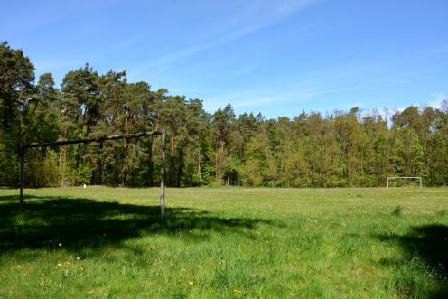Chojnicki ratusz wyłoży do wglądu projekt miejscowego planu zagospodarowania polany przy Strzeleckiej w Chojnicach 