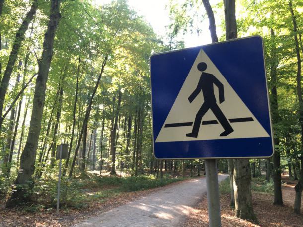 Będzie jaśniej na przejściach dla pieszych na drogach wojewódzkich w powiecie tucholskim
