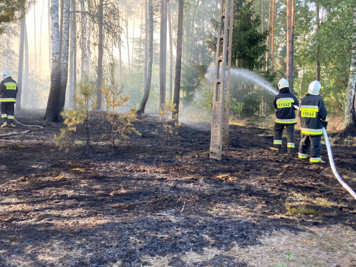 Pożar w Leśnictwie Lubnia w gminie Brusy. Ogień zajął hektar poszycia. Jest gaszony zrzutami wody z samolotu