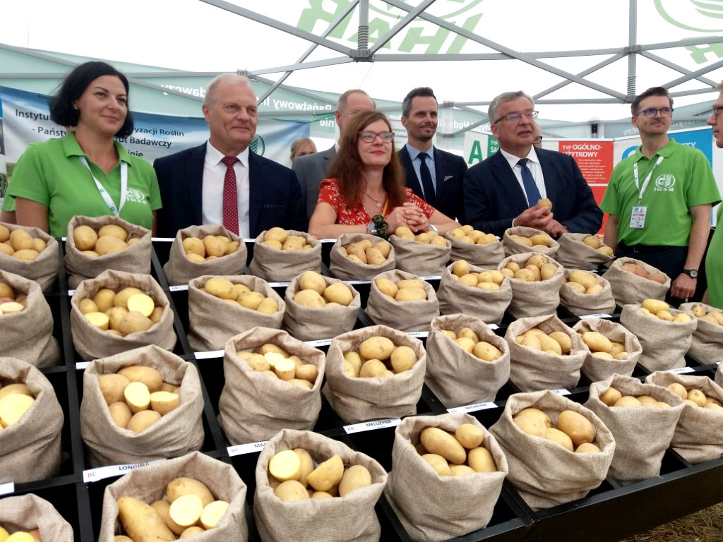 W Zamartem trwają Krajowe Dni Ziemniaka Potato Poland. Branżowe spotkanie odwiedził m.in. wiceminister rolnictwa  FOTO