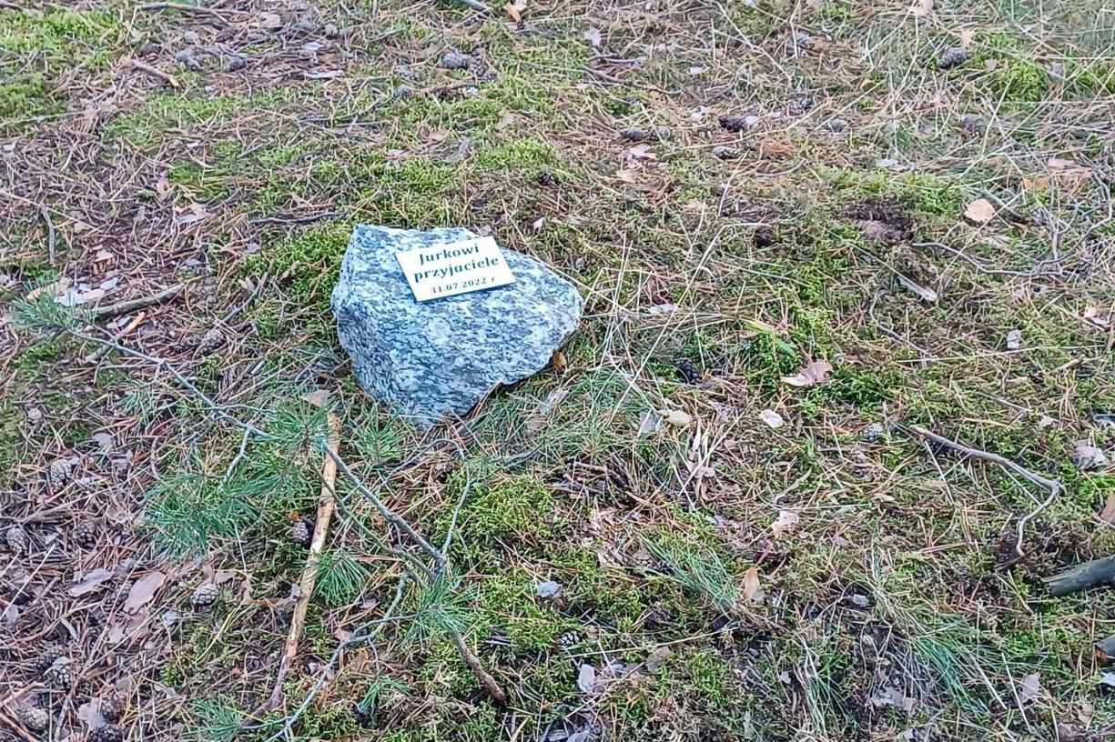 Jurkowi, przyjaciele - na niewielki kamień z takim napisem natknęli się pracownicy Parku Narodowego Bory Tucholskie