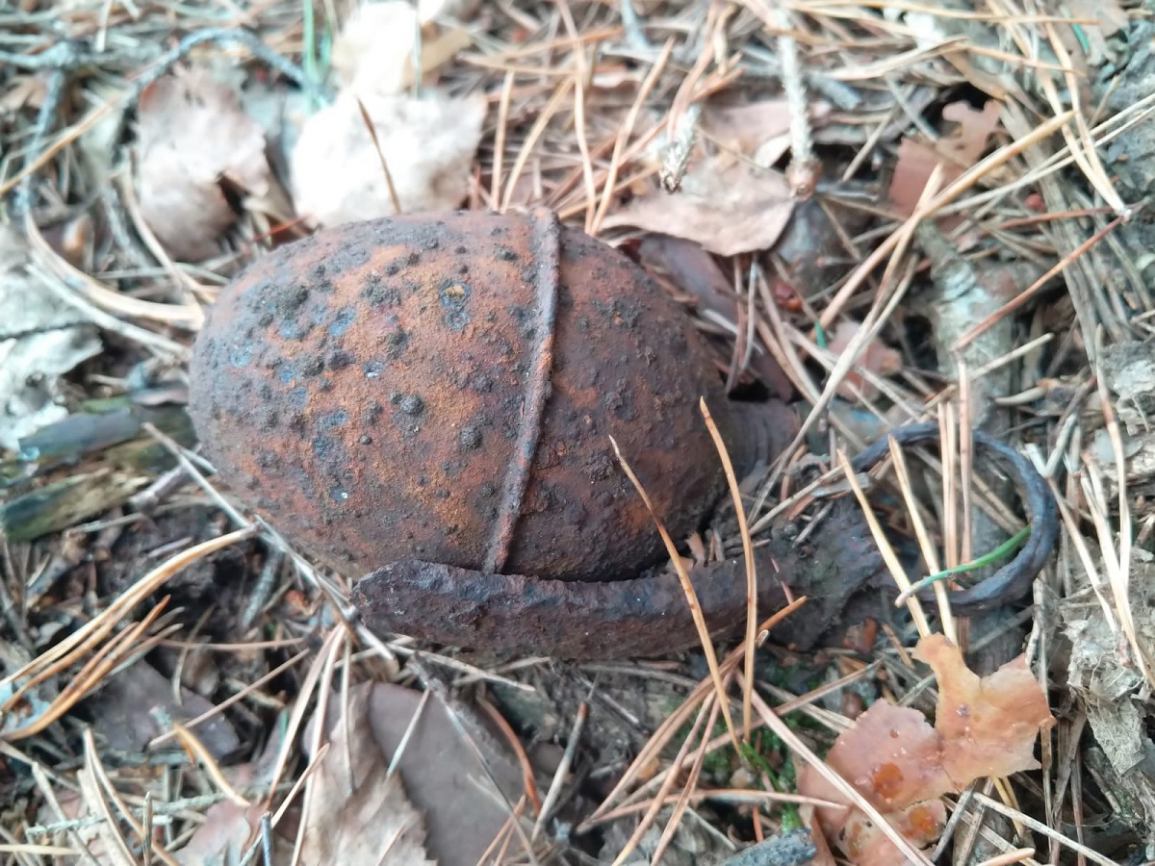 Niemal 60 sztuk amunicji z czasów II wojny światowej znaleziono podczas prac leśnych w gminie Sępólno Krajeńskie