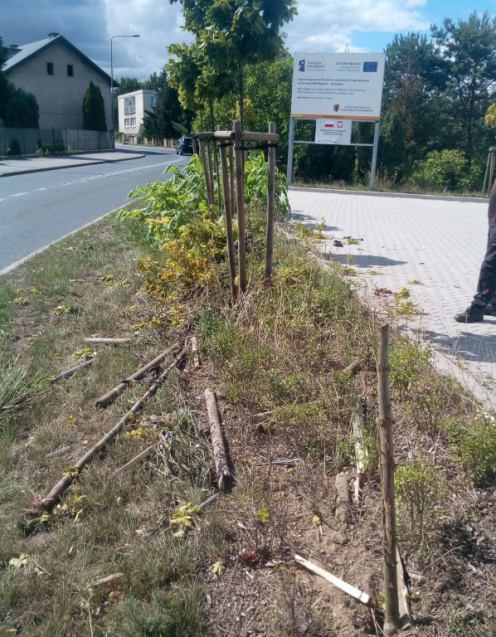 Coraz więcej akt&oacute;w wandalizmu w Chojnicach. Burmistrz zapowiada radykalne posunięcia (FOTO, REPORTAŻ)