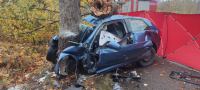 Śmiertelny wpadek koło Bytowa. Nie żyje 18-letnia kobieta. "Osobowe audi uderzyło w drzewo"