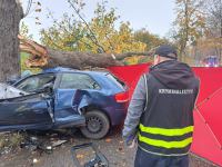 Śmiertelny wpadek koło Bytowa. Nie żyje 18-letnia kobieta. "Osobowe audi uderzyło w drzewo"