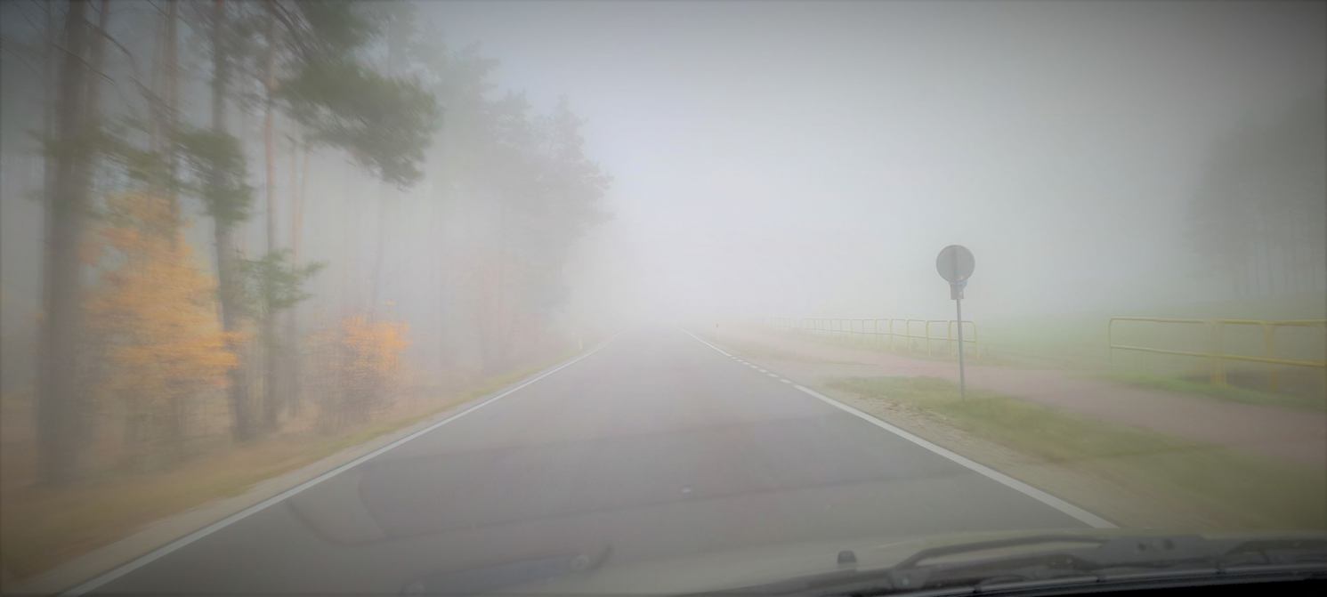 Jak jeździć we mgle?