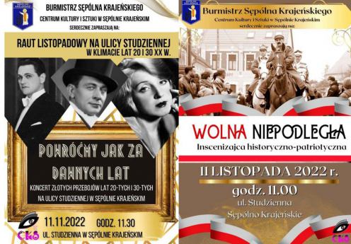 Święto Niepodległości. Sprawdź, jakie uroczystości i imprezy przygotowano z tej okazji w regionie