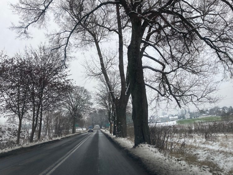 Wycinka drzew przy drodze wojewódzkiej nr 221 Kościerzyna-Nowa Karczma. Jest wstępny kompromis ROZMOWA