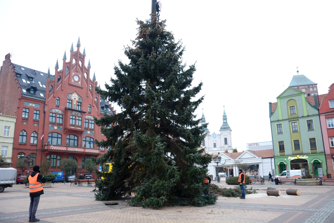 Świąteczne drzewko stanęło już na Starym Rynku w Chojnicach FOTO