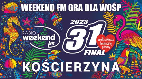 Koncerty, występy i pokazy. W Kościerzynie ruszyły atrakcje związane z finałem WOŚP (RELACJA, FOTO)