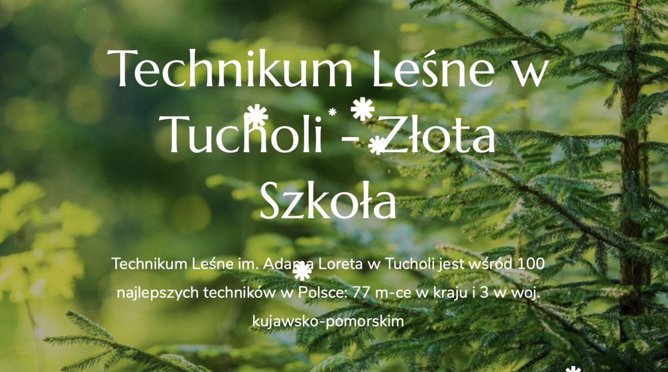 Technikum Leśne w Tucholi jest po raz ósmy Złotą Szkołą w rankingu Perspektyw