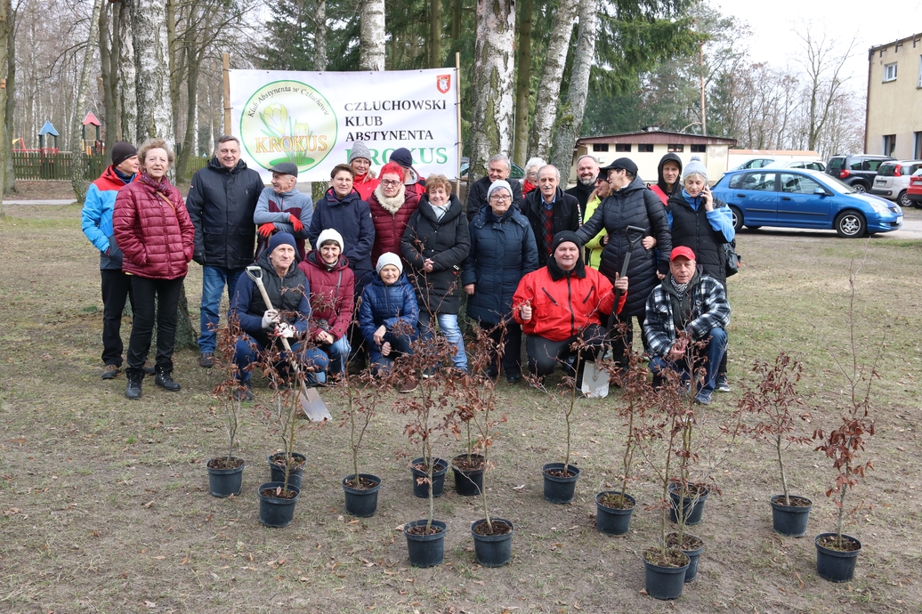 Posadzili 25 drzew na 25-lecie. Tak Człuchowski Klub Abstynenta &bdquoKrokus&rdquo świętuje jubileusz FOTO