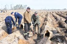 Samorządowcy, przedstawiciele służb mundurowych oraz ochotnicy i leśnicy sadzili las w Nadleśnictwie Rytel (FOTO)