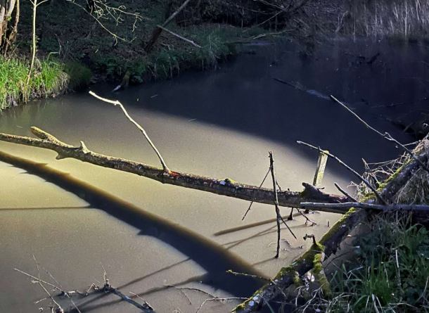 Zanieczyszczona woda oraz śnięte ryby w rzece Kicz w powiecie tucholskim (FOTO, AKTUALIZACJA)