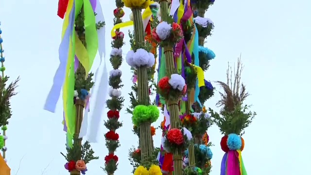 Obchody Niedzieli Palmowej w Lipnicy Murowanej. Najwyższa tegoroczna palma mierzy ponad 27 metrów