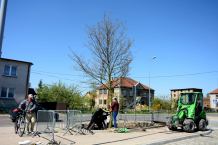 Przy chojnickim dworcu PKS zasadzono blisko 8 metrowy dąb szypułkowy [FOTO]