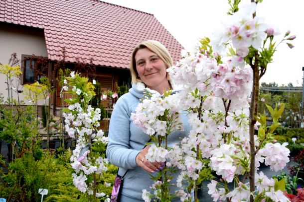 Weekend w ogrodzie. Odcinek 3. Jak dobierać drzewa i krzewy do swoich ogrodów?