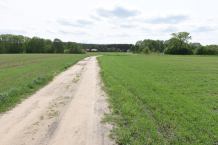 Zarząd Powiatu Sępoleńskiego otrzymał kolejne pieniądze z Lasów Państwowych na remont dróg powiatowych