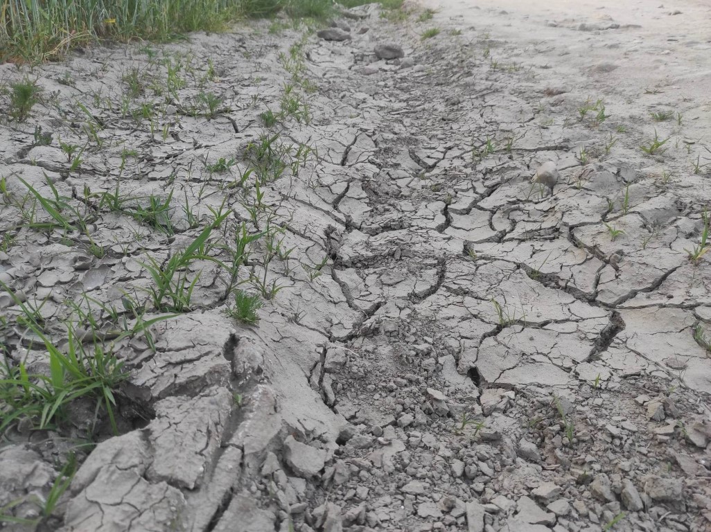 Nawet o 300 procent wzrosło w ostatnim czasie zużycie wody w gminie Brusy. Jest apel o oszczędzanie
