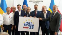 Opozycja ogłosiła "pakt senacki". Celem co najmniej 60 mandatów