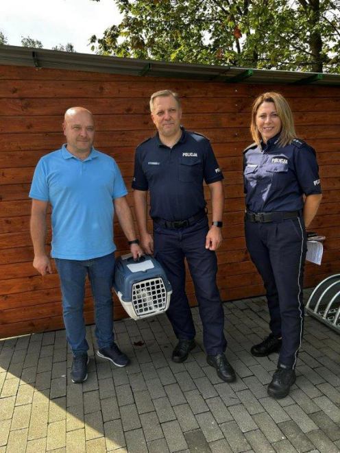 Kotka, kt&oacute;ra odwiedzała chojnicką komendę policji, została adoptowana przez komendanta