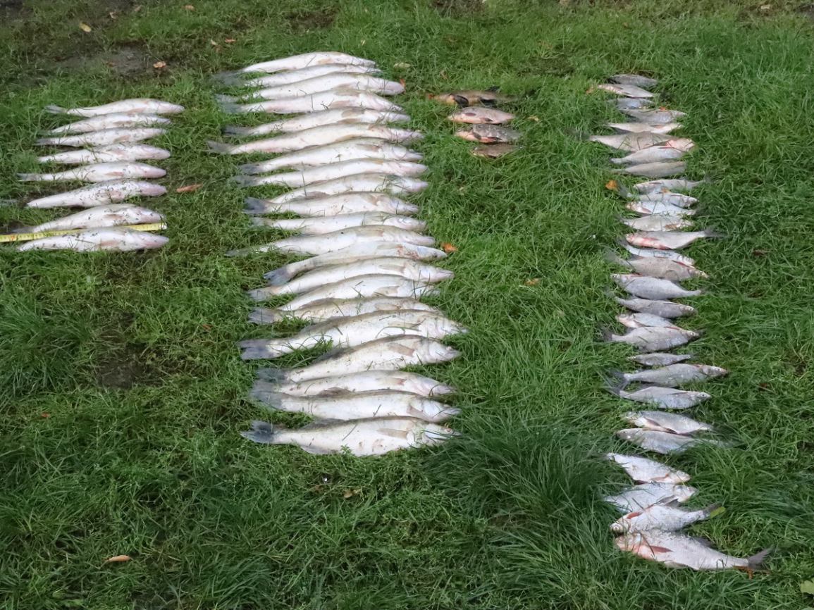 Straż rybacka złapała dwóch kłusowników na Jeziorze Czermuńskim w gminie Więcbork