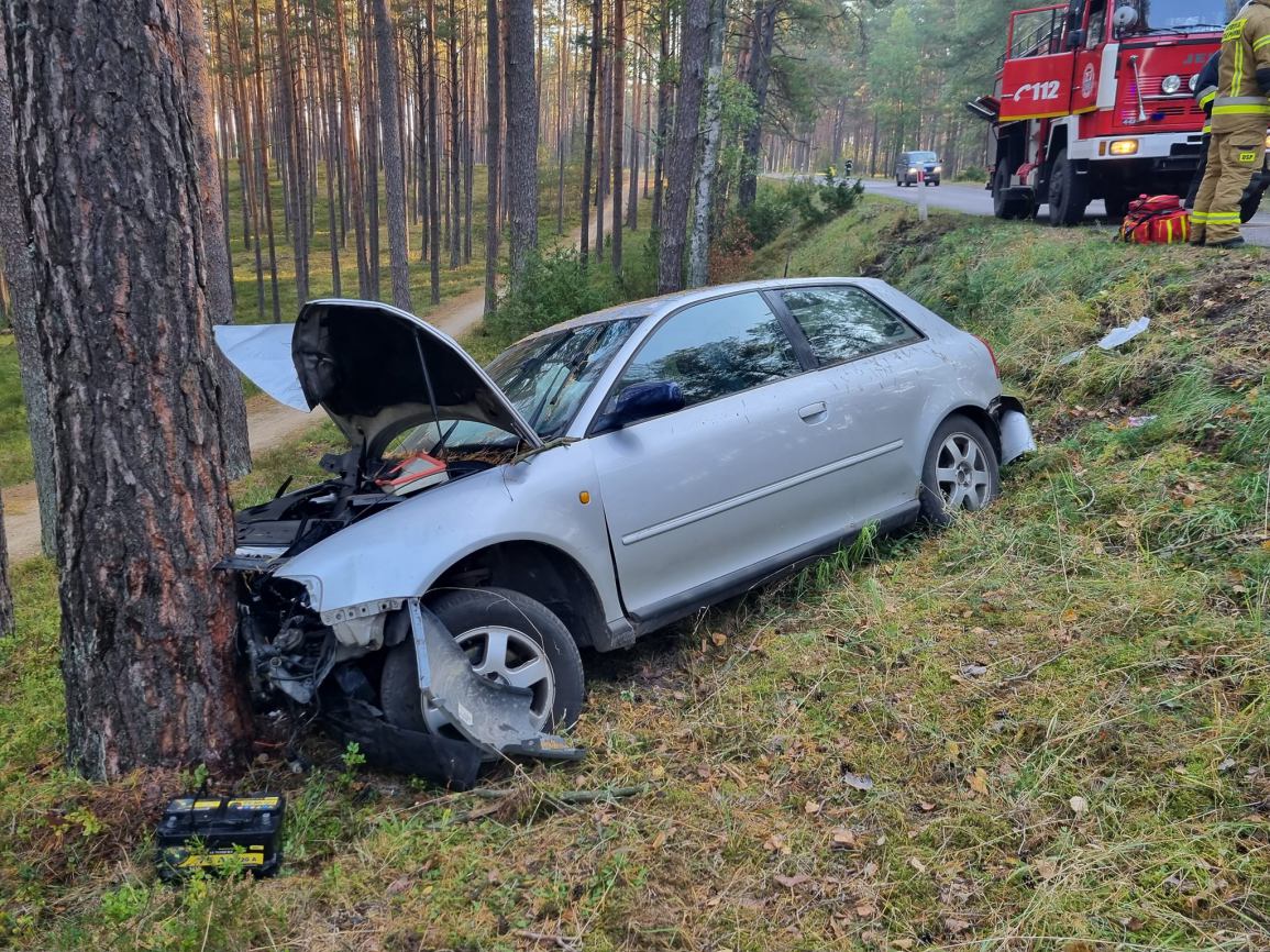 Kolizja auta osobowego na DW 236 w okolicach Drzewicza w powiecie chojnickim. Jedna osoba została poszkodowana