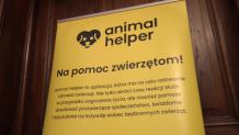 Wystartowała aplikacja Animal Helper. Działa jak numer 112 - tyle że dla zwierząt