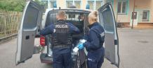 Pijani Kolumbijczycy, którzy na zmianę kierowali autem, zatrzymani w Brusach
