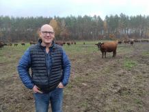 Weekend na polu, odcinek 10. Rasa Polska, ale hodowana w stylu amerykańskim. Kilka słów o polskim bydle czerwonym