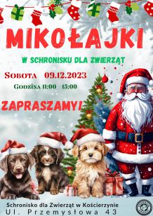 Zabierz psiaki na świąteczny spacer. Mikołajkowa akcja schroniska dla zwierząt w Kościerzynie