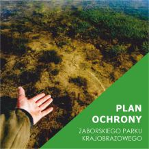 Plan ochrony Zaborskiego Parku Krajobrazowego uchwalony. Reguluje on m.in. wysokość budynków w Charzykowach i Swornegaciach