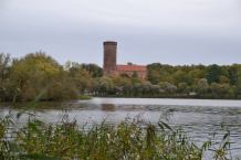 Miasto Człuchów przymierza się do uporządkowania drzewostanu w Lasku Luizy