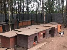 W marcu ruszy proces w sprawie byłego kierownika schroniska dla zwierząt w Kościerzynie