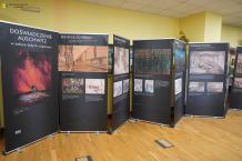 Jeszcze dziś (26.01.) w chojnickiej bibliotece dostępna jest wystawa "Doświadczenie Auschwitz w sztuce byłych więźniów"