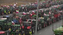 Zablokowana granica z Ukrainą oraz drogi w całej Polsce. Kolejne protesty rolników