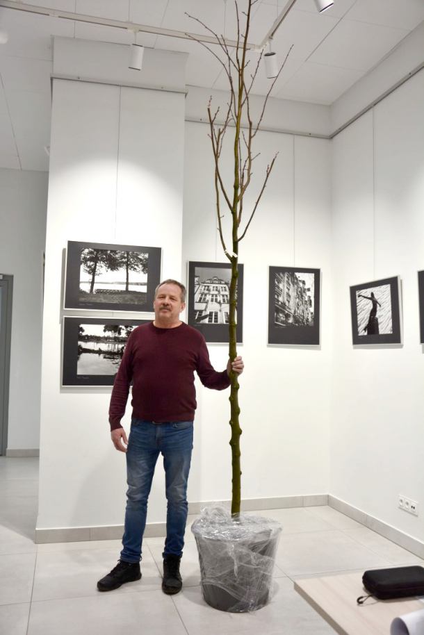 W Chojnicach planowane są nasadzenia 800 drzew. Szacowany koszt ich zakupu to 300 tys. złotych