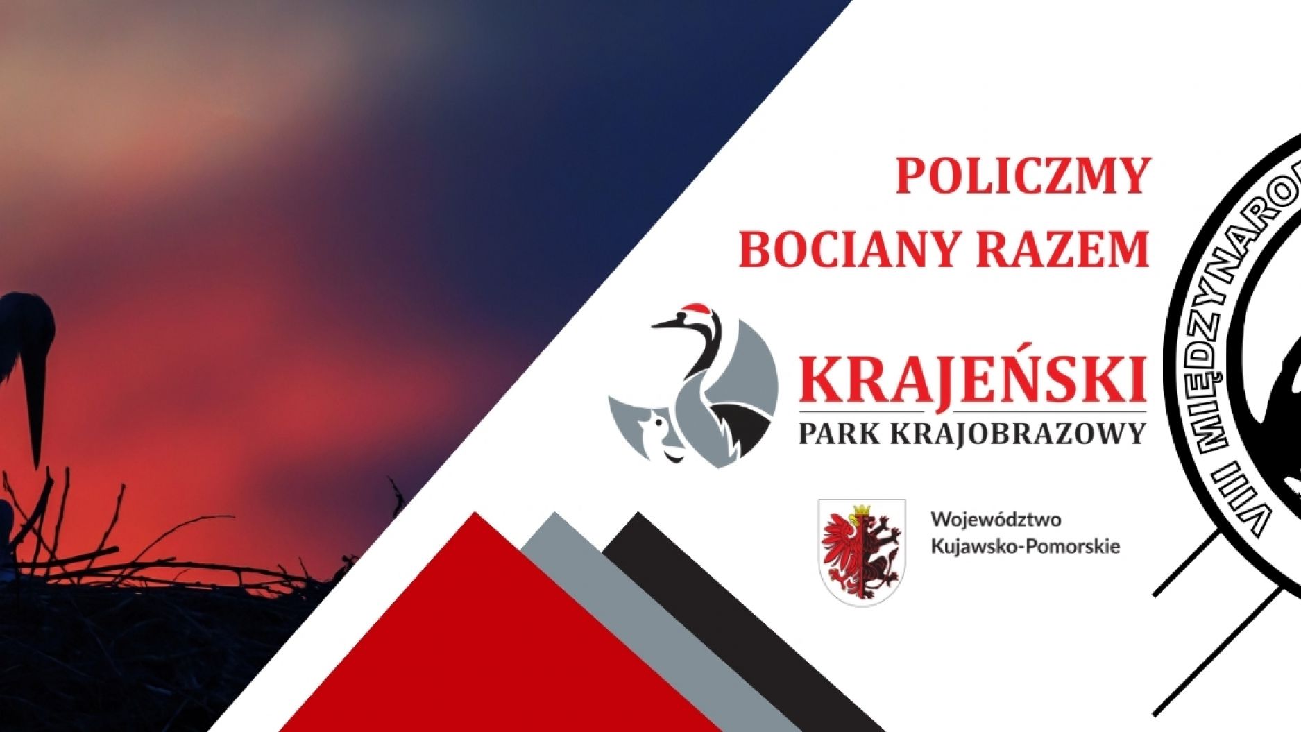 Krajeński Park Krajobrazowy rozpoczął międzynarodowy spis bocian&oacute;w (ROZMOWA)