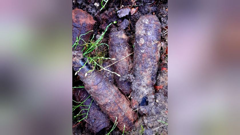 W lesie na terenie gminy Śliwice odnaleziono niewybuchy z czasów II wojny światowej