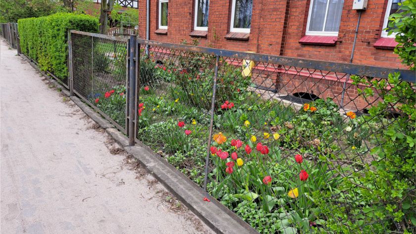 Z ulicy Ceynowy w Chojnicach znikną wszystkie ogrodzenia oddzielające chodnik od posesji