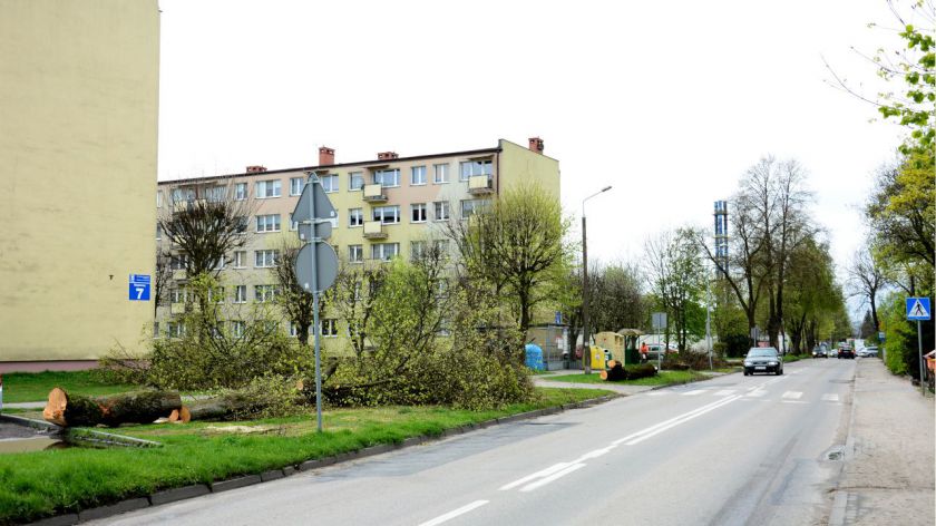 Na ulicy Ceynowy w Chojnicach wycięto już drzewa pod inwestycję. Niebawem ruszy przebudowa tej ulicy FOTO