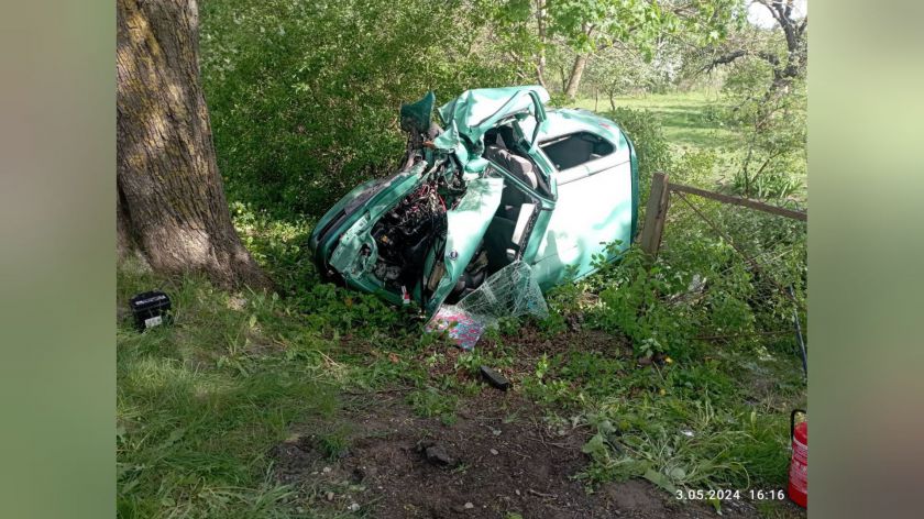 60-latka poszkodowana w wypadku w Grabowcu, w gminie Czarne. Prowadzony przez nią samochód uderzył w drzewo FOTO