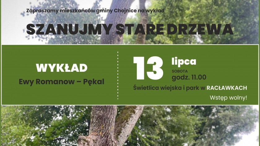 Propozycja na lato dla mieszkańców gminy Chojnice. GOK chce z nimi rozmawiać o starych drzewach