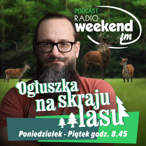 Ogłuszka na skraju lasu. Wakacyjna audycja przyrodnicza. Sezon 2024